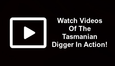 tasmanian digger videos